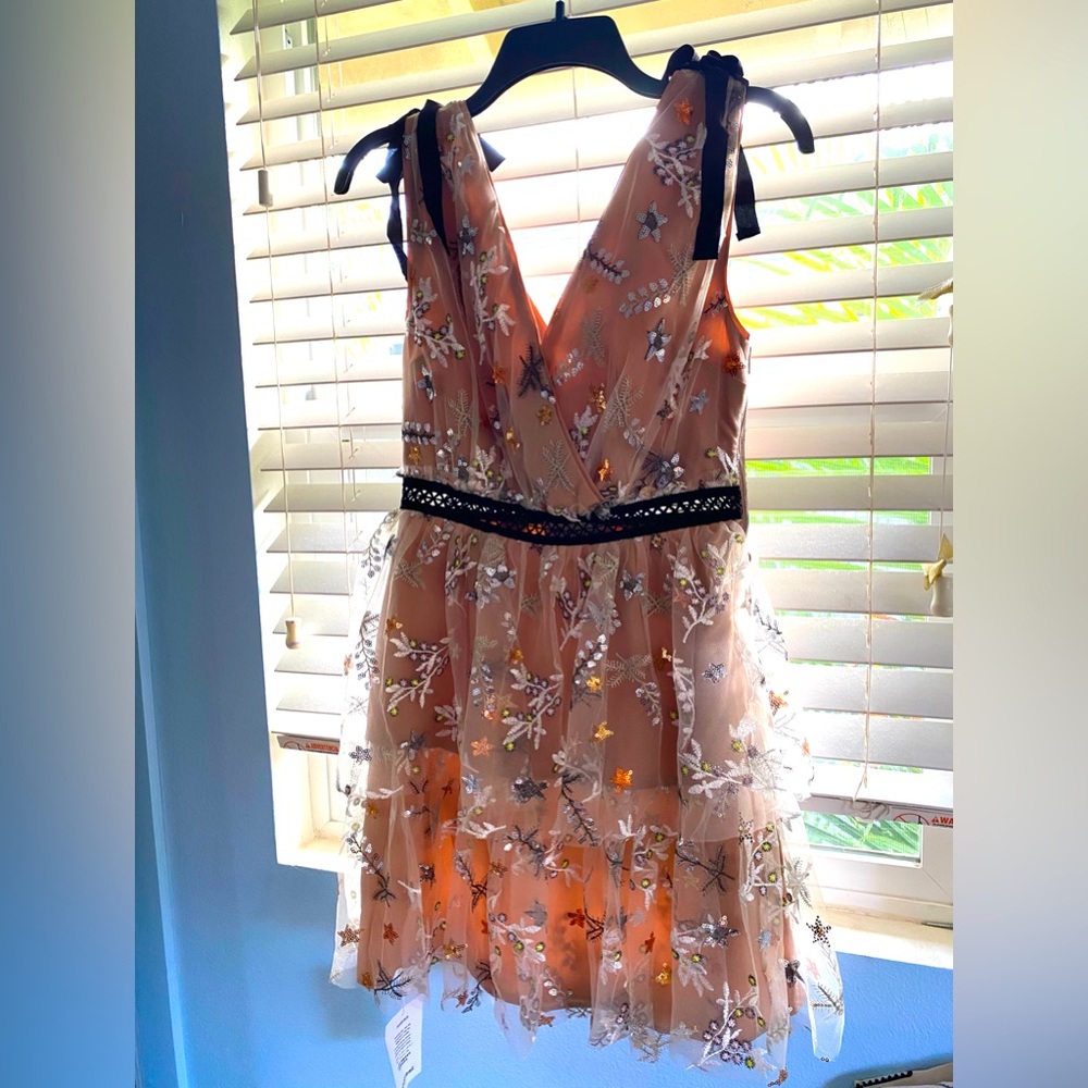Self portrait star mesh embroidered dress
